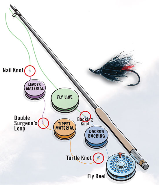 Fly Line Leader Chart
