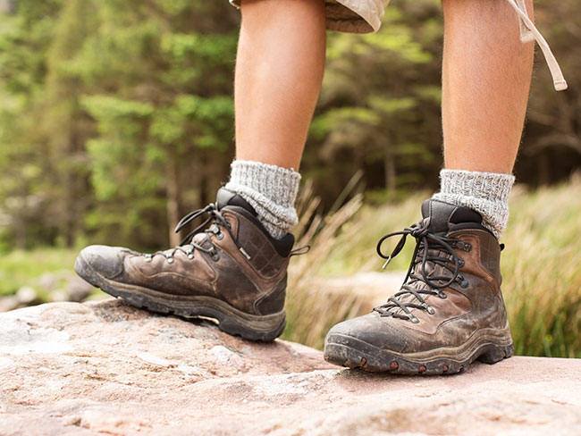 Low-cut or high-cut hiking boots 